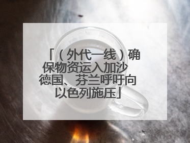 （外代一线）确保物资运入加沙 德国、芬兰呼吁向以色列施压