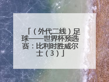 （外代二线）足球——世界杯预选赛：比利时胜威尔士（3）