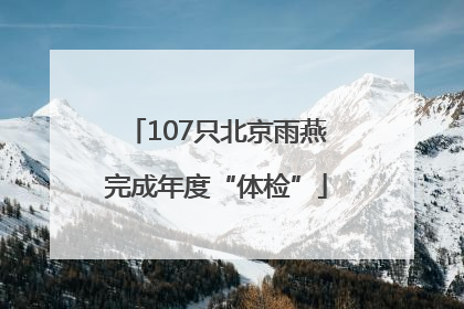 107只北京雨燕完成年度“体检”