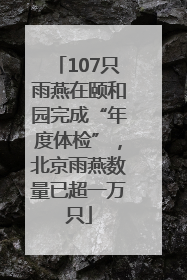 107只雨燕在颐和园完成“年度体检”，北京雨燕数量已超一万只