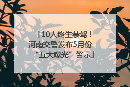 10人终生禁驾！河南交警发布5月份“五大曝光”警示