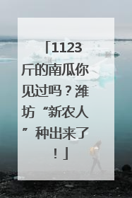 1123斤的南瓜你见过吗？潍坊“新农人”种出来了！