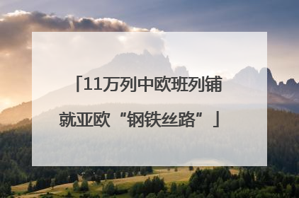 11万列中欧班列铺就亚欧“钢铁丝路”