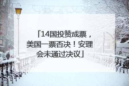 14国投赞成票，美国一票否决！安理会未通过决议