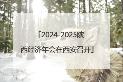 2024-2025陕西经济年会在西安召开