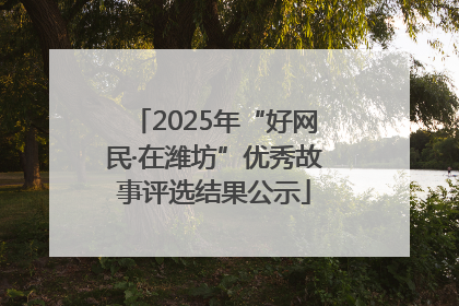 2025年“好网民·在潍坊”优秀故事评选结果公示