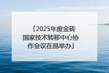 2025年度金砖国家技术转移中心协作会议在昆举办