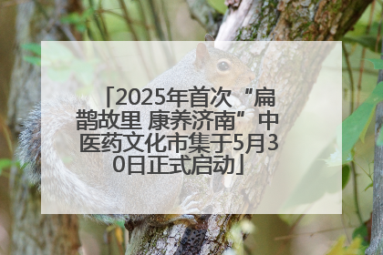 2025年首次“扁鹊故里 康养济南”中医药文化市集于5月30日正式启动