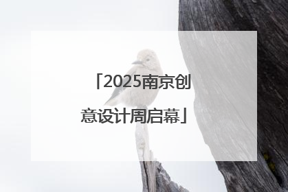 2025南京创意设计周启幕