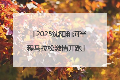 2025沈阳和河半程马拉松激情开跑