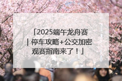 2025端午龙舟赛｜停车攻略+公交加密 观赛指南来了！
