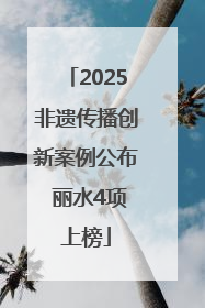 2025非遗传播创新案例公布 丽水4项上榜