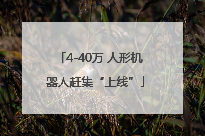 4-40万 人形机器人赶集“上线”