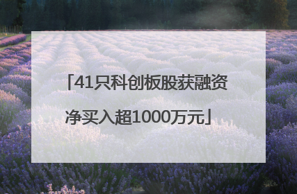 41只科创板股获融资净买入超1000万元