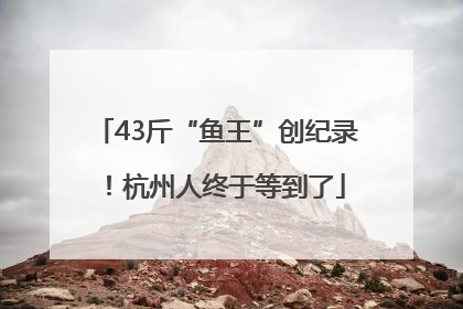 43斤“鱼王”创纪录！杭州人终于等到了