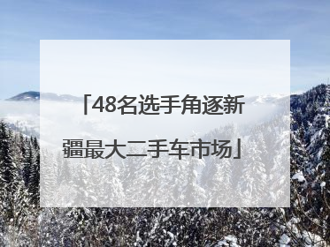 48名选手角逐新疆最大二手车市场