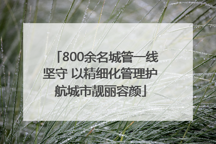 800余名城管一线坚守 以精细化管理护航城市靓丽容颜