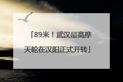 89米！武汉最高摩天轮在汉阳正式开转