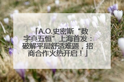 A.O.史密斯“数字真五恒”上海首发：破解平层舒适难题，招商合作火热开启！