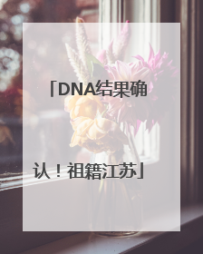 DNA结果确认！祖籍江苏