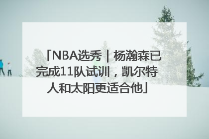 NBA选秀｜杨瀚森已完成11队试训，凯尔特人和太阳更适合他